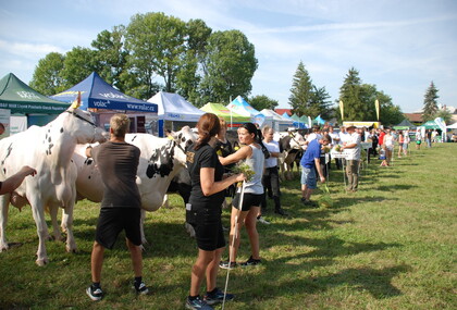 Výstava PRIM Chomutice 2024